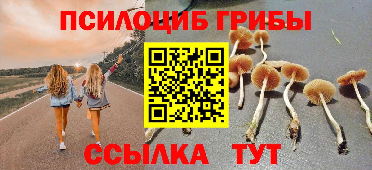 Псилоцибиновые грибы ЛСД Лысьва