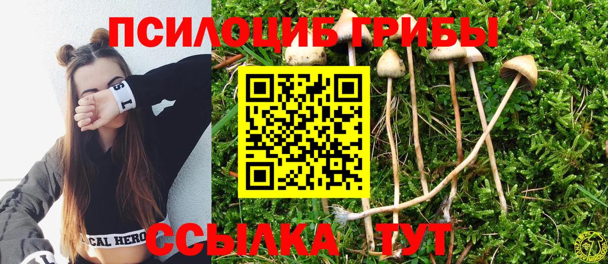 Лысьва  Галлюциногенные грибы GOLDEN TEACHER  Вход с VPN  Псилоцибиновые грибы GOLDEN TEACHER 